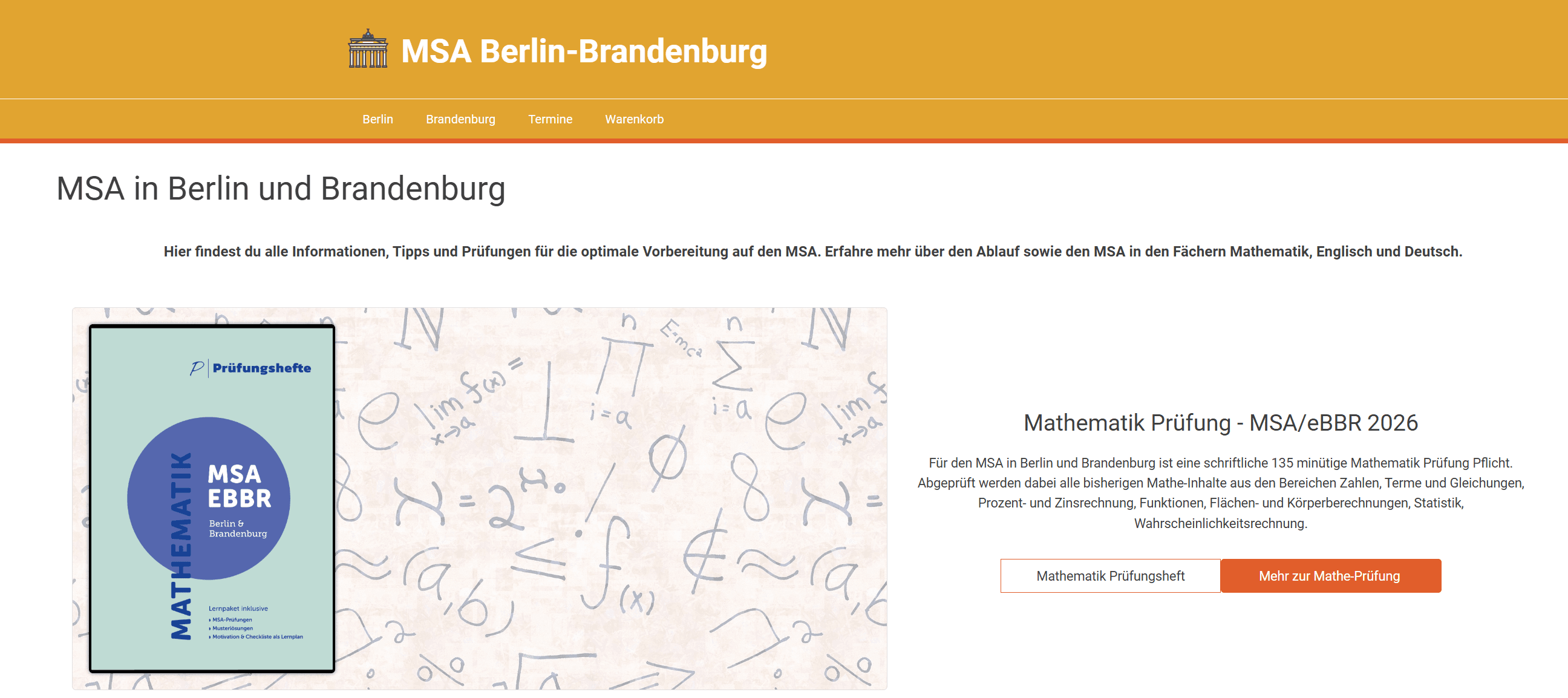 Website MSA Berlin-Brandenburg