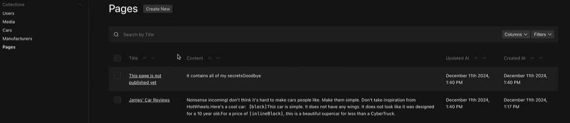 Screenshot von Payload