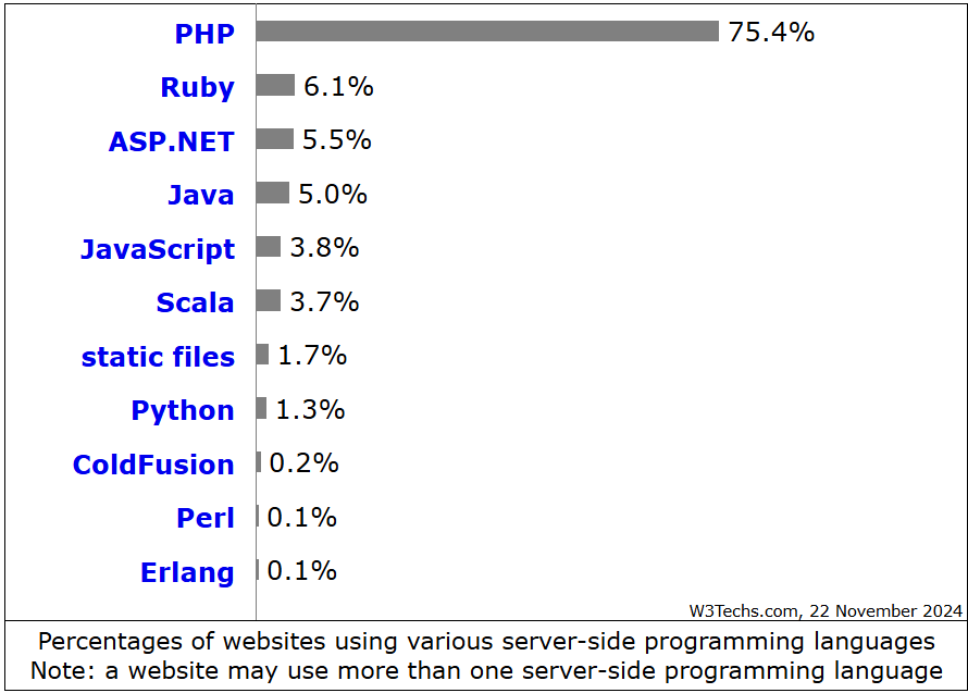 Nutzung serverseitiger Programmiersprachen